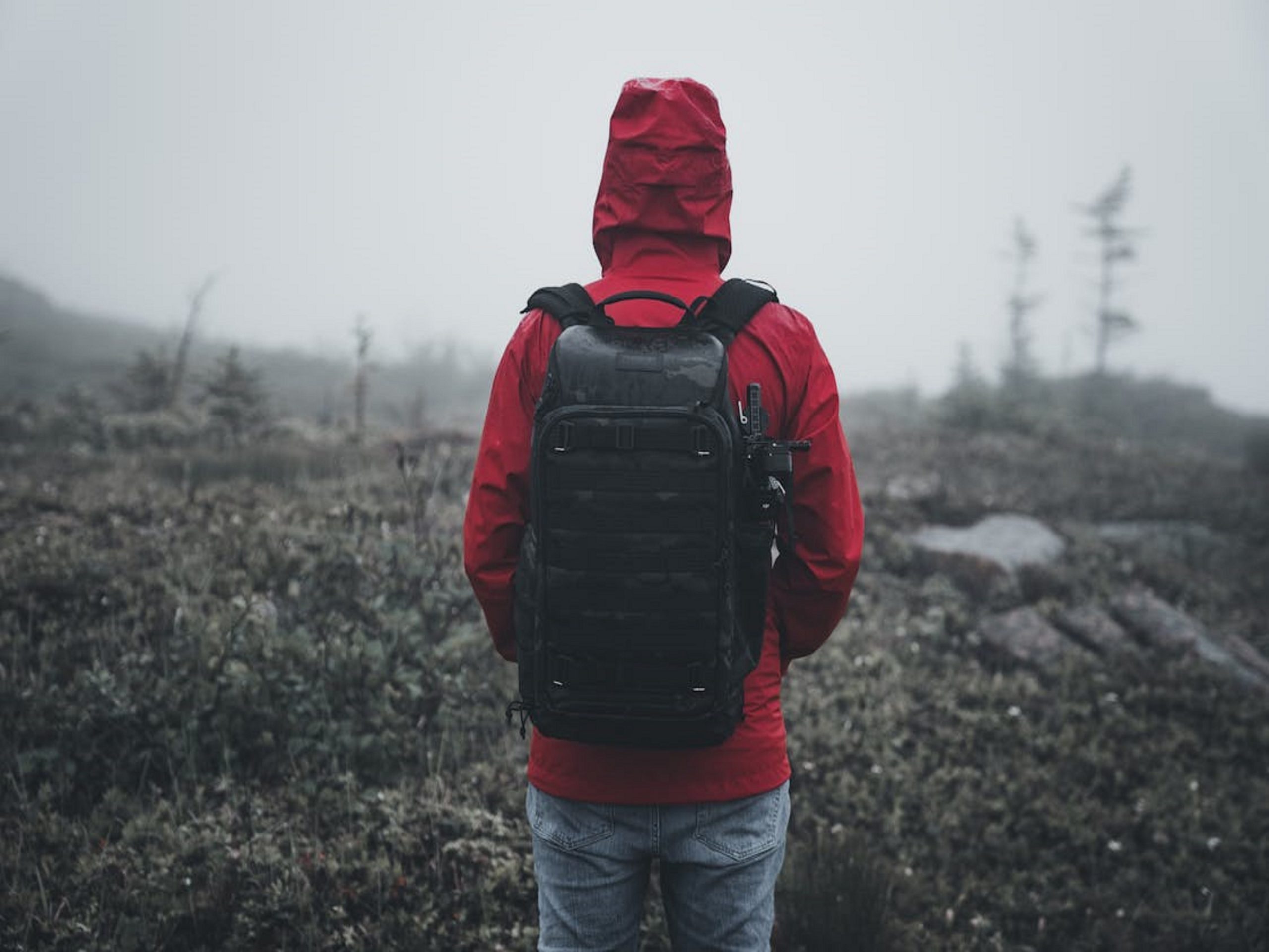 free-photo-of-back-of-a-hooded-hiker-standing-outdoors-in-winter